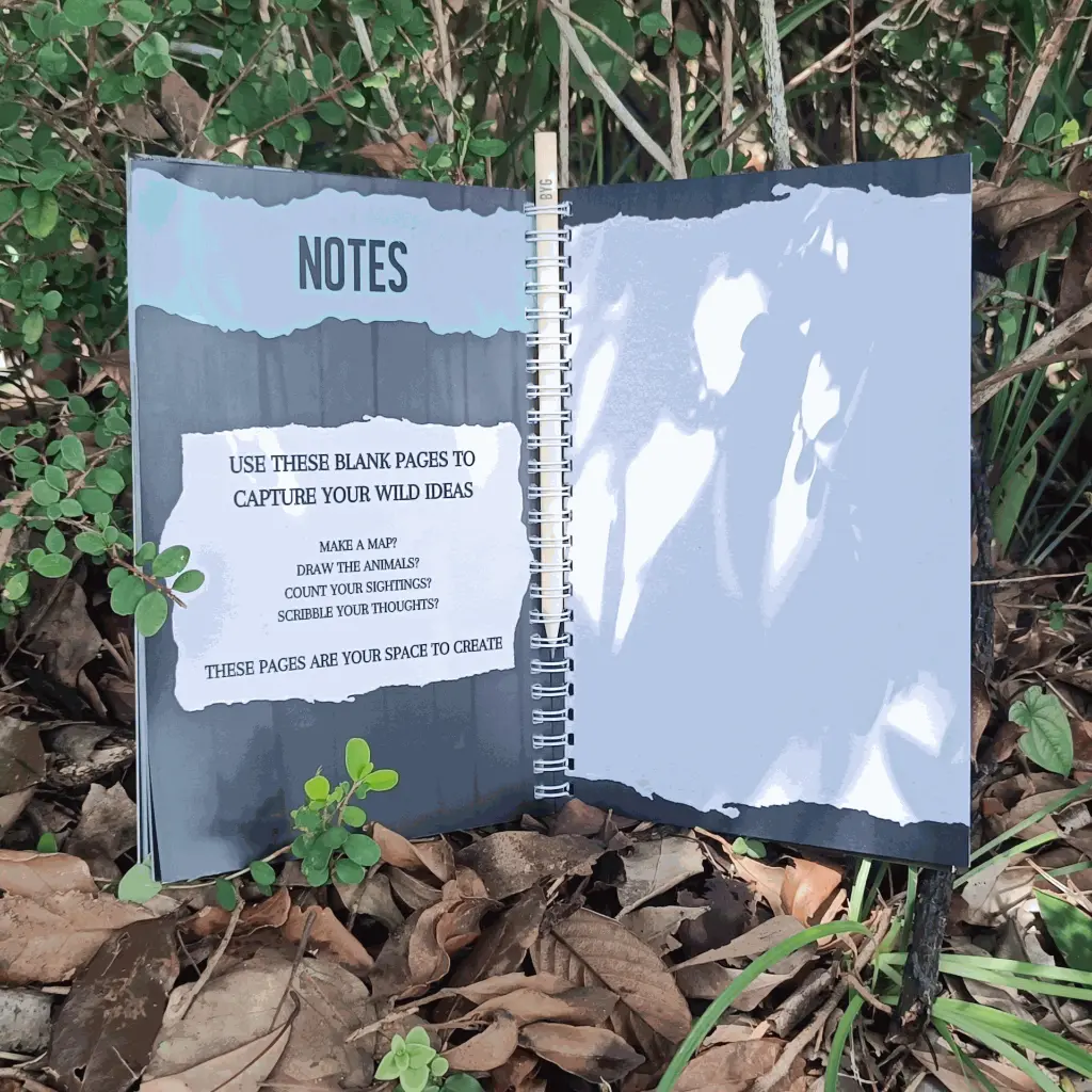 The Notes pages