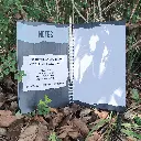 The Notes pages