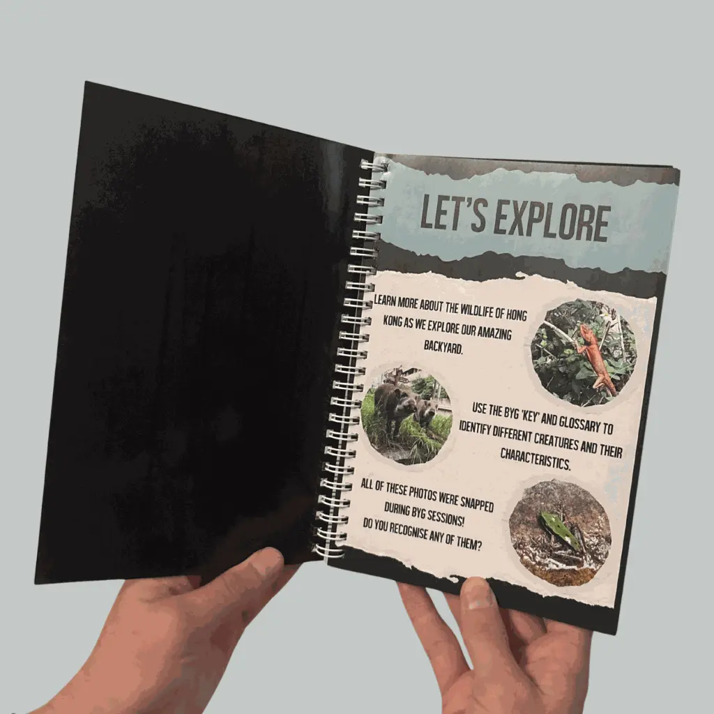 The Intro page