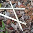 The BYG Pencil