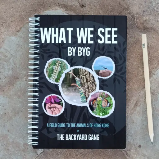 The BYG Field Guide